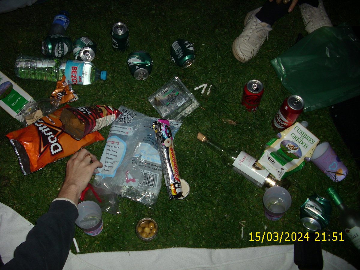 🌙 nat tweet media