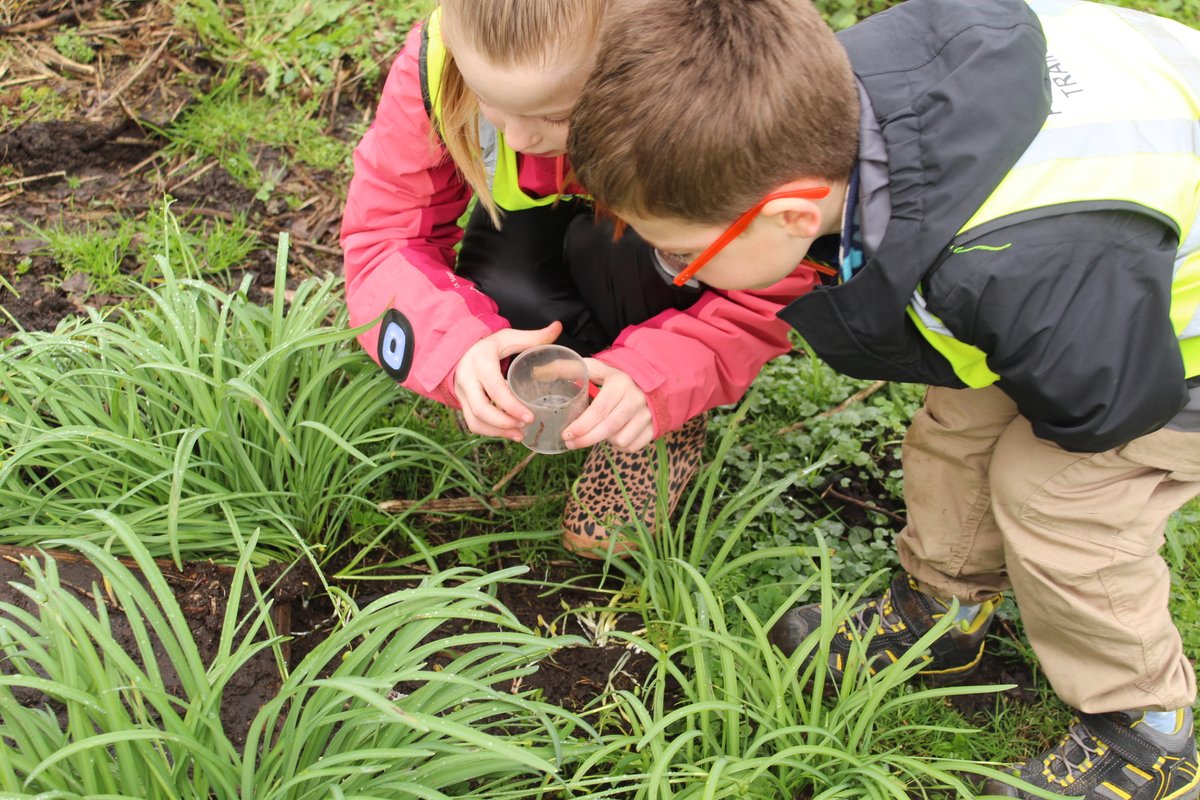 SCIENCE: Year 2 are just back from a great visit to Leighton Moss Nature Reserve to learn about habitats. A huge THANK YOU to the RSPB staff who were brilliant! @Natures_Voice @RSPBLeightonM