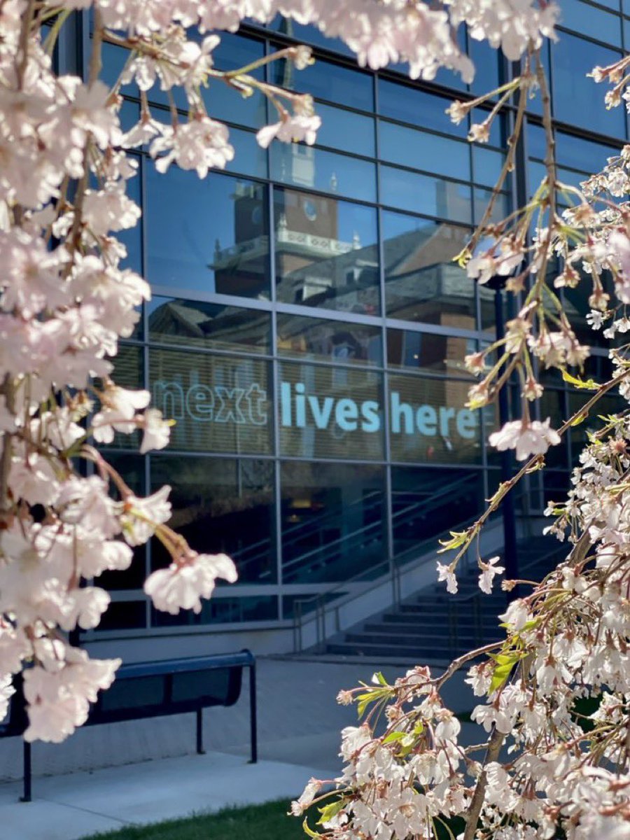 Welcome back, Bearcats! We hope you had a great Spring Break. Time to finish the semester strong! 📚

#PrettyPicMonday
