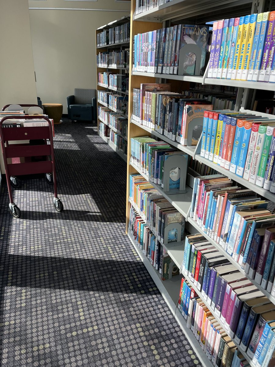 EditorBrooke's tweet image. When you’re working in the stacks &amp;amp; realize you need sunscreen. #librarywork