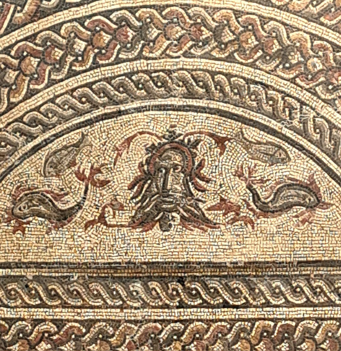 #MosaicMonday Neptune at @DorsetMuseum