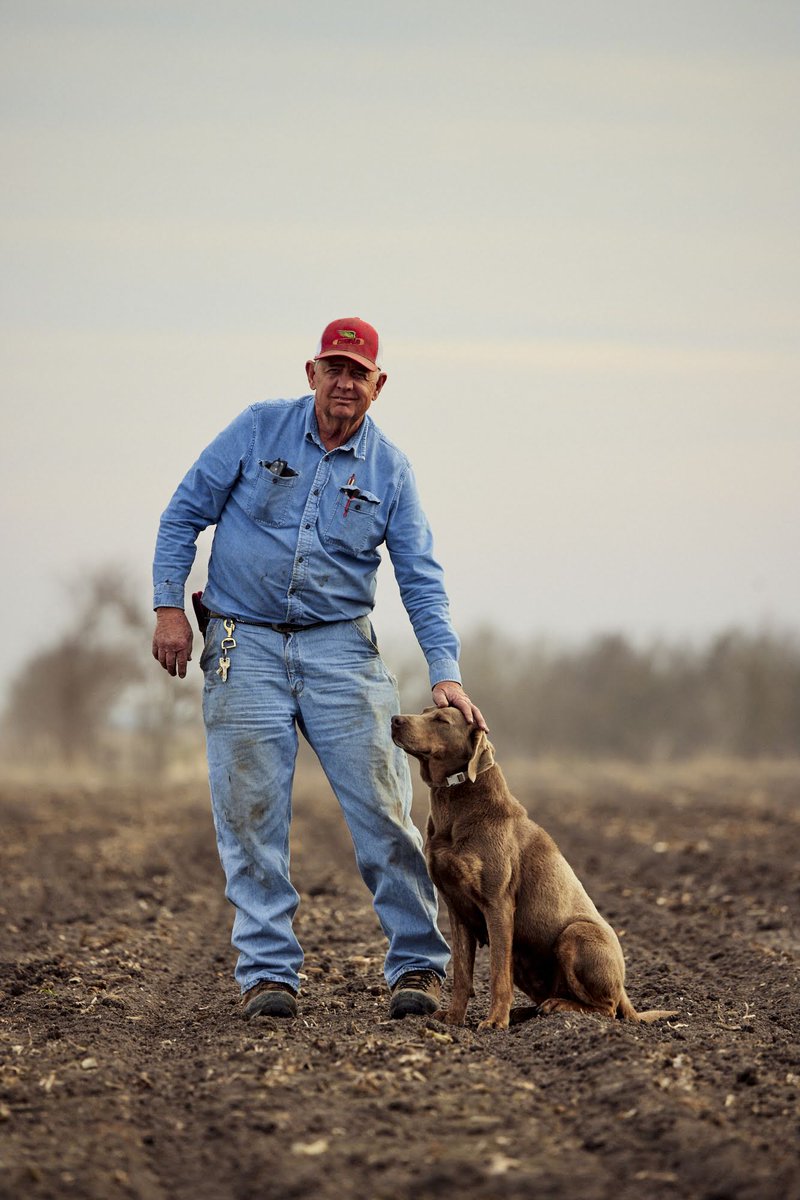 Allen Meissner tweet media