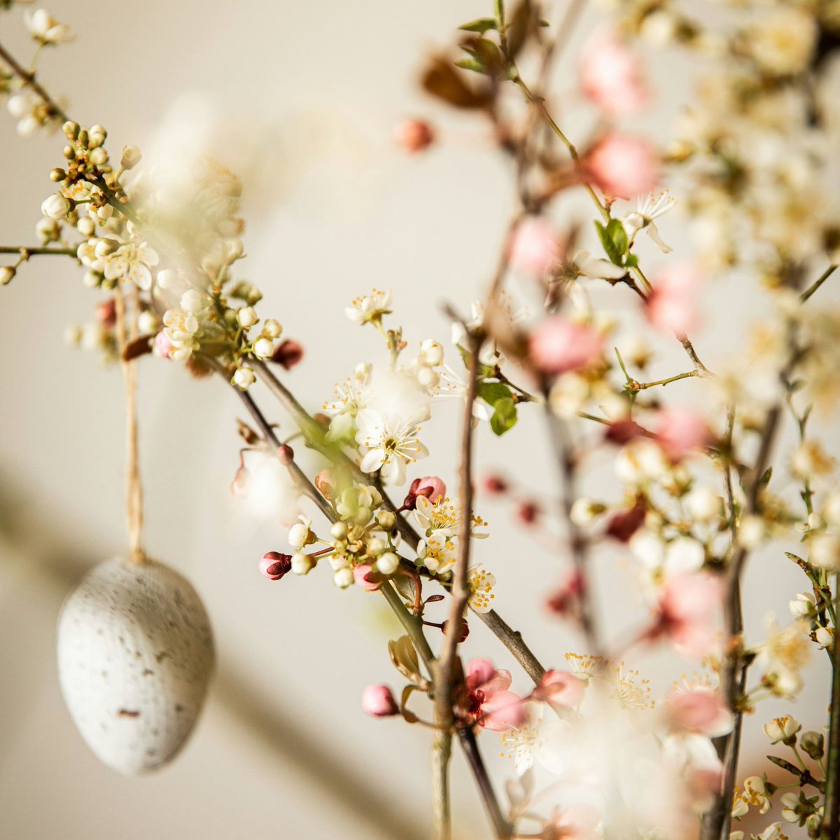 Let the good times bloom this Easter! 🐣 Enjoy beautiful tableware this spring with our incredible new ranges available on our website, and create a table perfect to celebrate with family and friends! Visit our website now: foodcaredirect.com