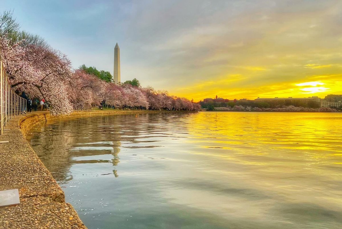 The Ear Doc👂🇨🇦 tweet media