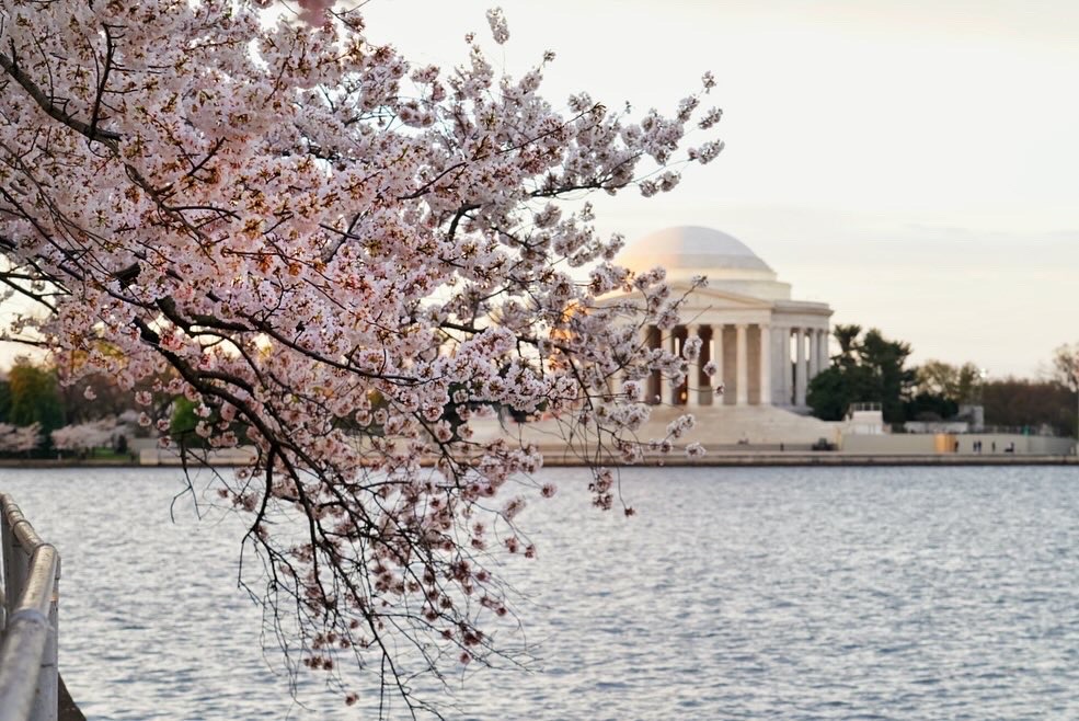 The Ear Doc👂🇨🇦 tweet media