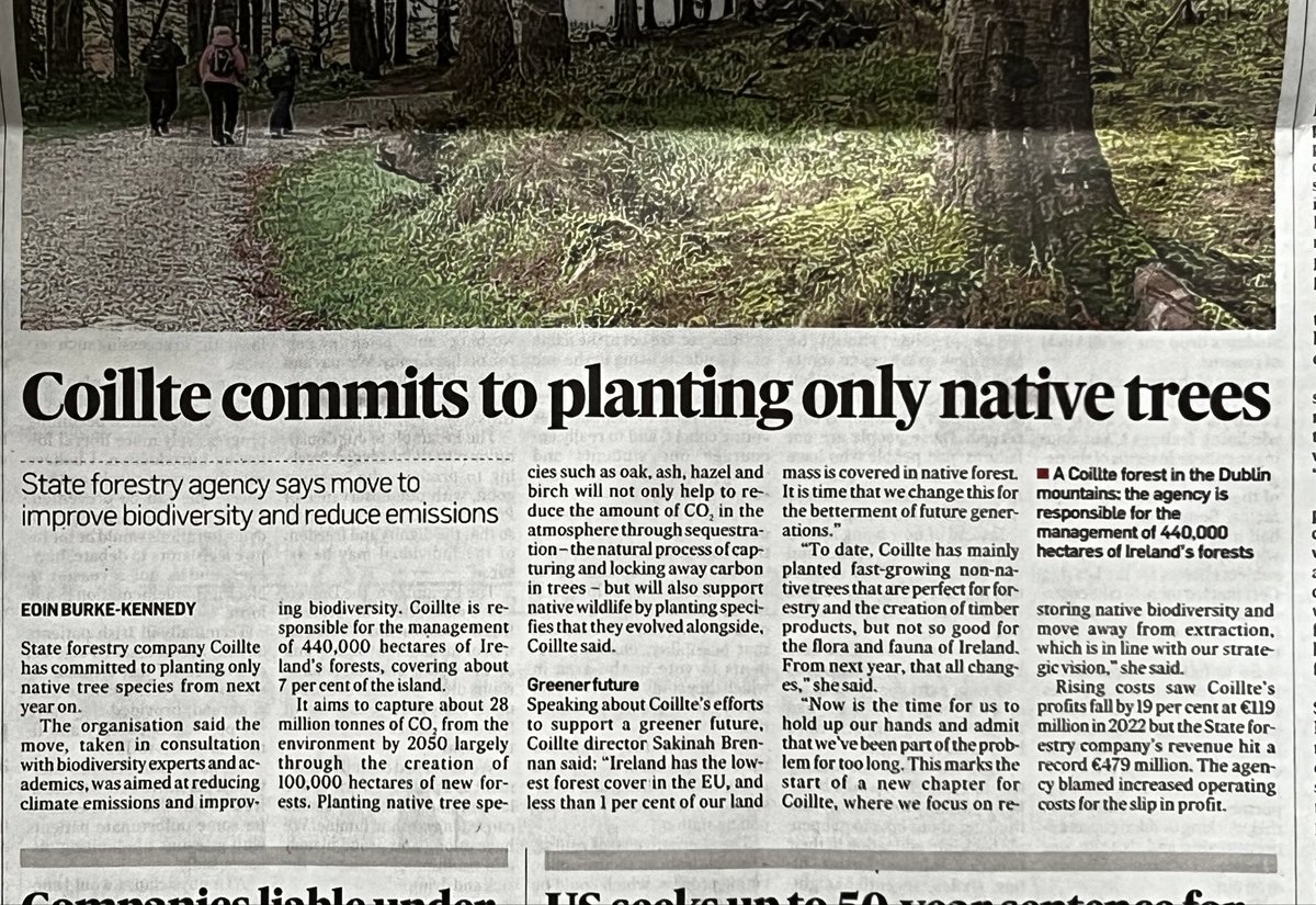 Hi @IrishTimes, @eoinbk, Where did this story about @coilltenews come from and why has it disappeared from the website without explanation? A lot of people very interested to know!