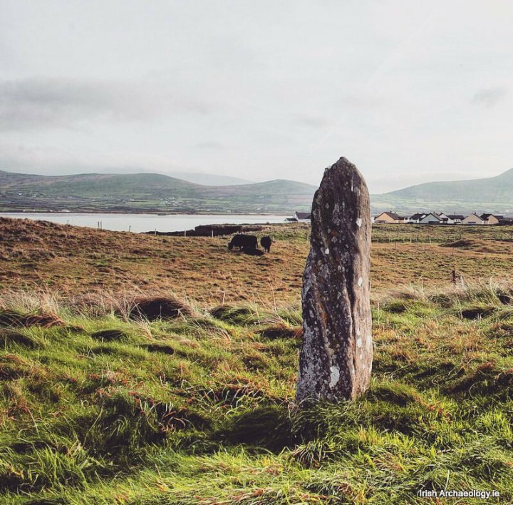 An ogham stone at Ballinrannig, Dingle, Co. Kerry. Dating from the 5th century AD, its badly worn inscription reads 'of Conmac of Corb son of ...'