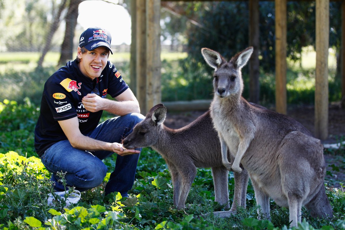 F1 tweet picture