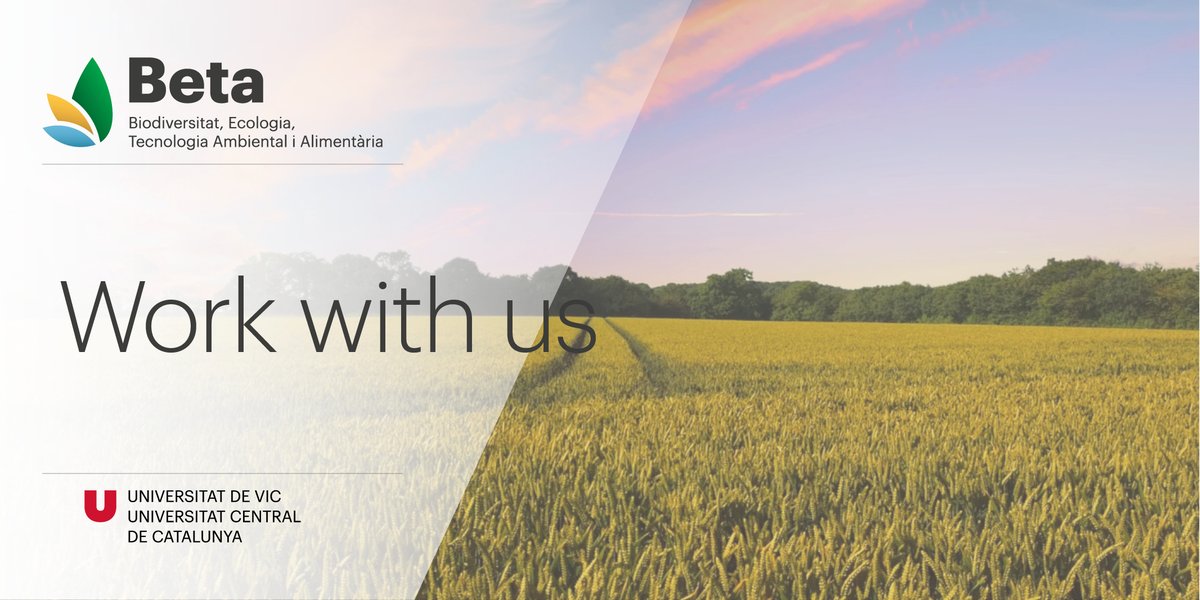 BETA_TechCentre's tweet photo. 📣¡Únete a nuestro equipo!

▶️ Tenemos 7⃣ puestos vacantes en los campos de Análisis del Ciclo de Vida, salud y restauración del suelo, participación ciudadana, promoción y gobernanza en el ámbito de la pérdida y el desperdicio de alimentos.

Descúbrelas:
https://t.co/2gVmf7Pt7r https://t.co/SbyRUHGxaW