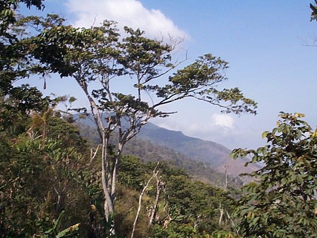 BioParques tweet media