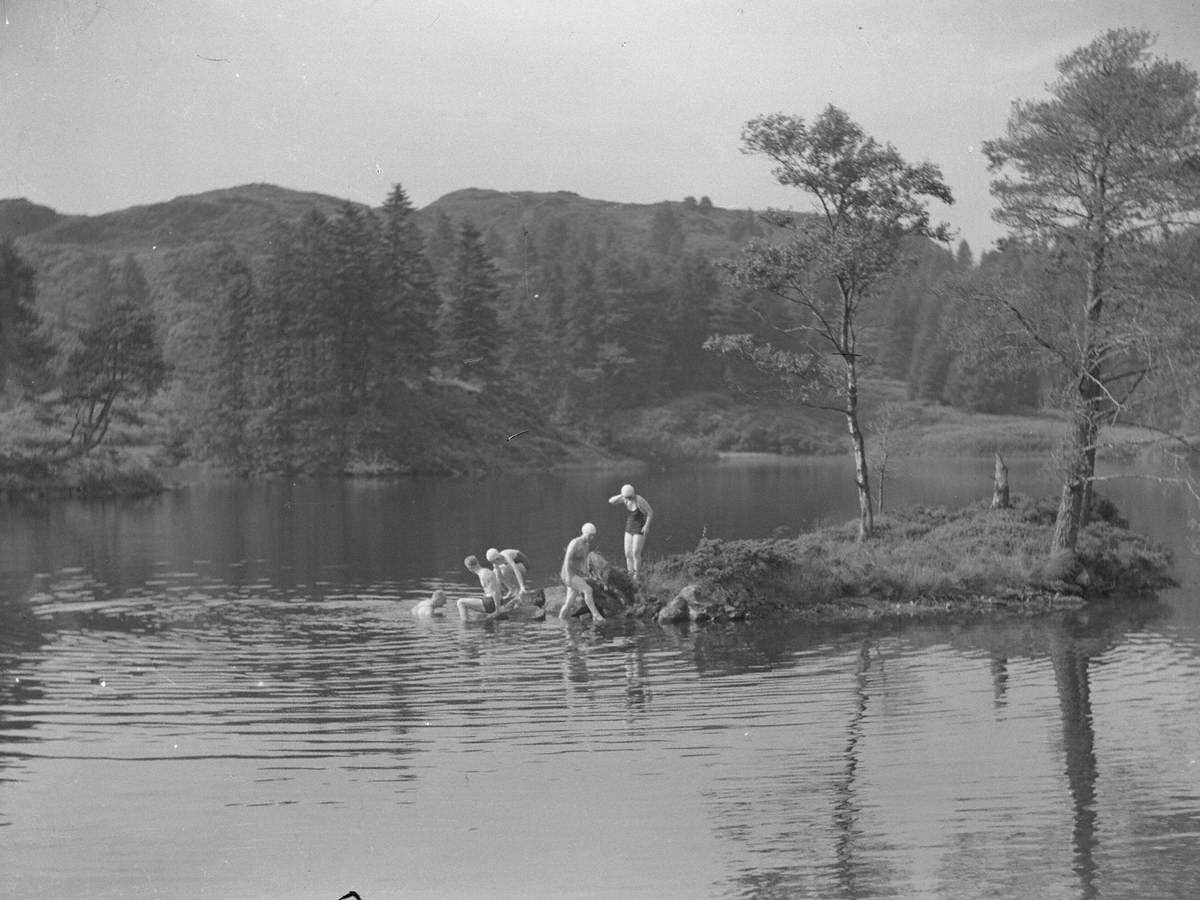 clarereynolds20's tweet photo. A swim a day.
Joseph Hardman (1893–1972) Swimming at Tarn Hows
https://t.co/zkuLxnutxq @artukdotorg https://t.co/JzLmrVLAz0