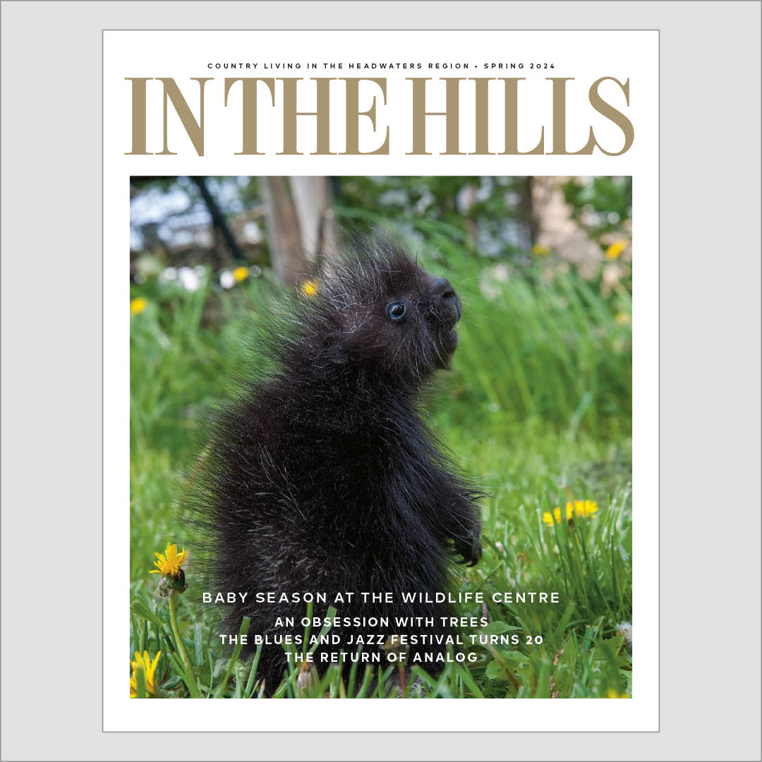 NEW ISSUE ALERT!

Enjoy the fresh season with our magazine blooming with stories, recommendations and experiences.

Online NOW at inthehills.ca