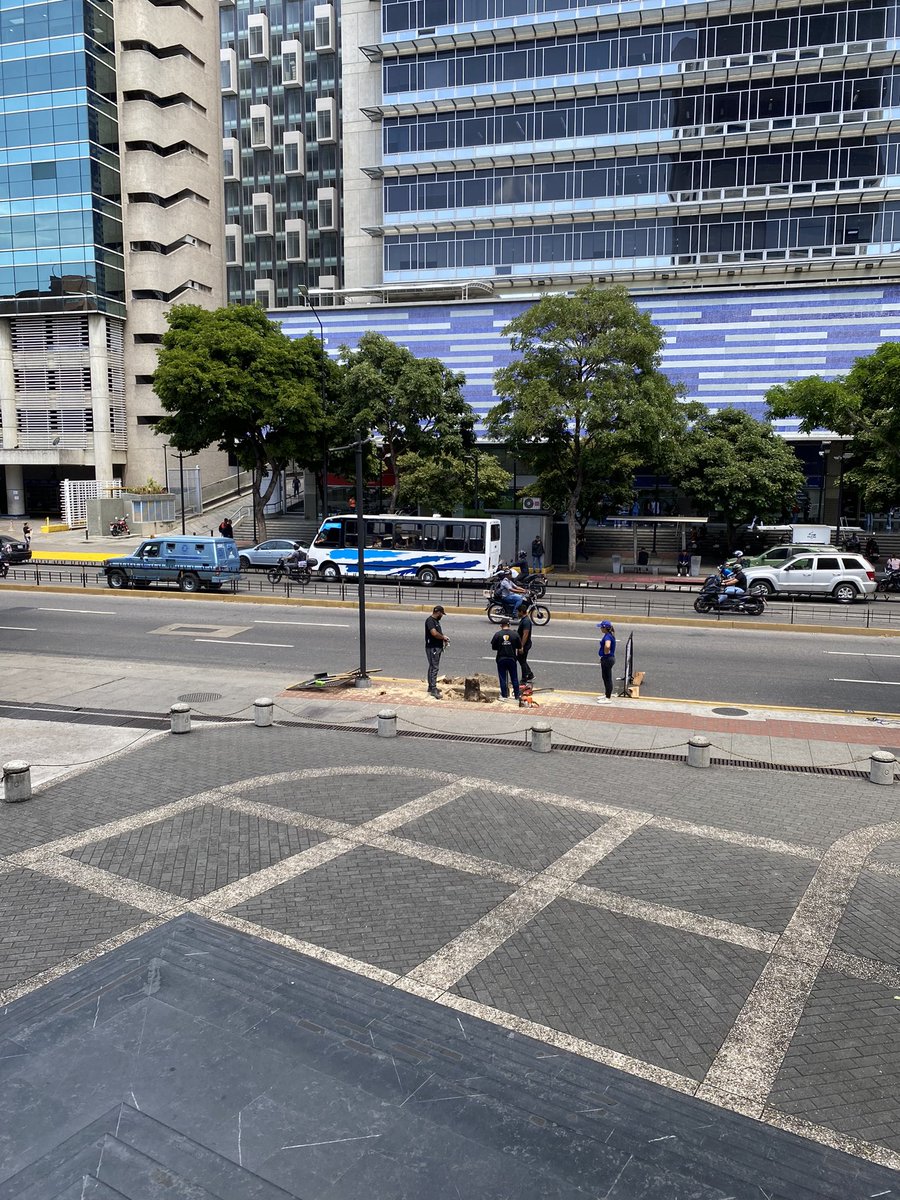 Rol_Ant's tweet photo. Sigue… Esto está ocurriendo hoy, no le encuentro sentido, en ese momento estaban cortando sus raices. Lo estaban matando. Qué sentido tiene? No lo encuentro. Sin duda preservar la naturaleza no es uno de los objetivos de la alcaldía de Chacao @Chacao @duquegustavoS https://t.co/9bU09SLlg3