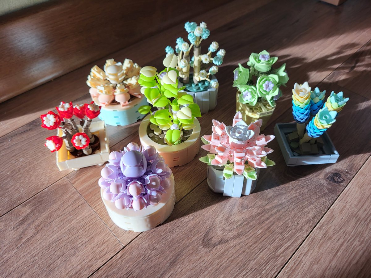 #1BonheurParJour Un autre type de #LundiFleuri. Bonne semaine à toutes et tous.