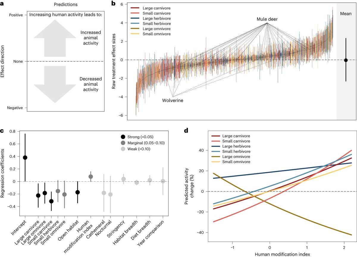Mammal responses to global changes in human activity vary by trophic group and landscape nature.com/articles/s4155…