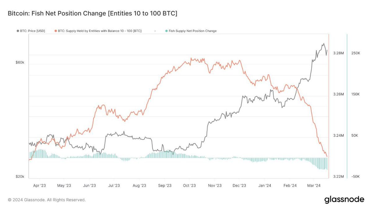 kyledoops's tweet photo. Experienced investors are buying while rookies are selling.

Novice traders are dumping BTC.

Hold on to your Bitcoin; remember, higher levels are on the way. https://t.co/4prN6x3jHl