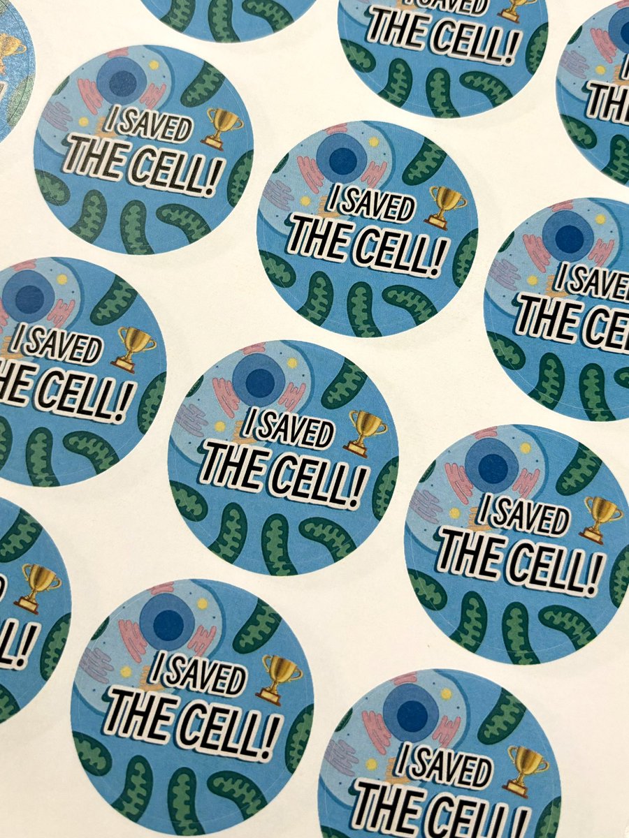 naomi_j_thorne's tweet photo. Had a great time sharing cell biology with the public at #SOTSEF over the weekend 🤩 A very rewarding day with lots of engagement from people of all ages wanting to learn about our cells &amp; their mitochondria⚡️

@unisouthampton @UoS_Engagement @sotonbiosci https://t.co/xptLrt1MKW