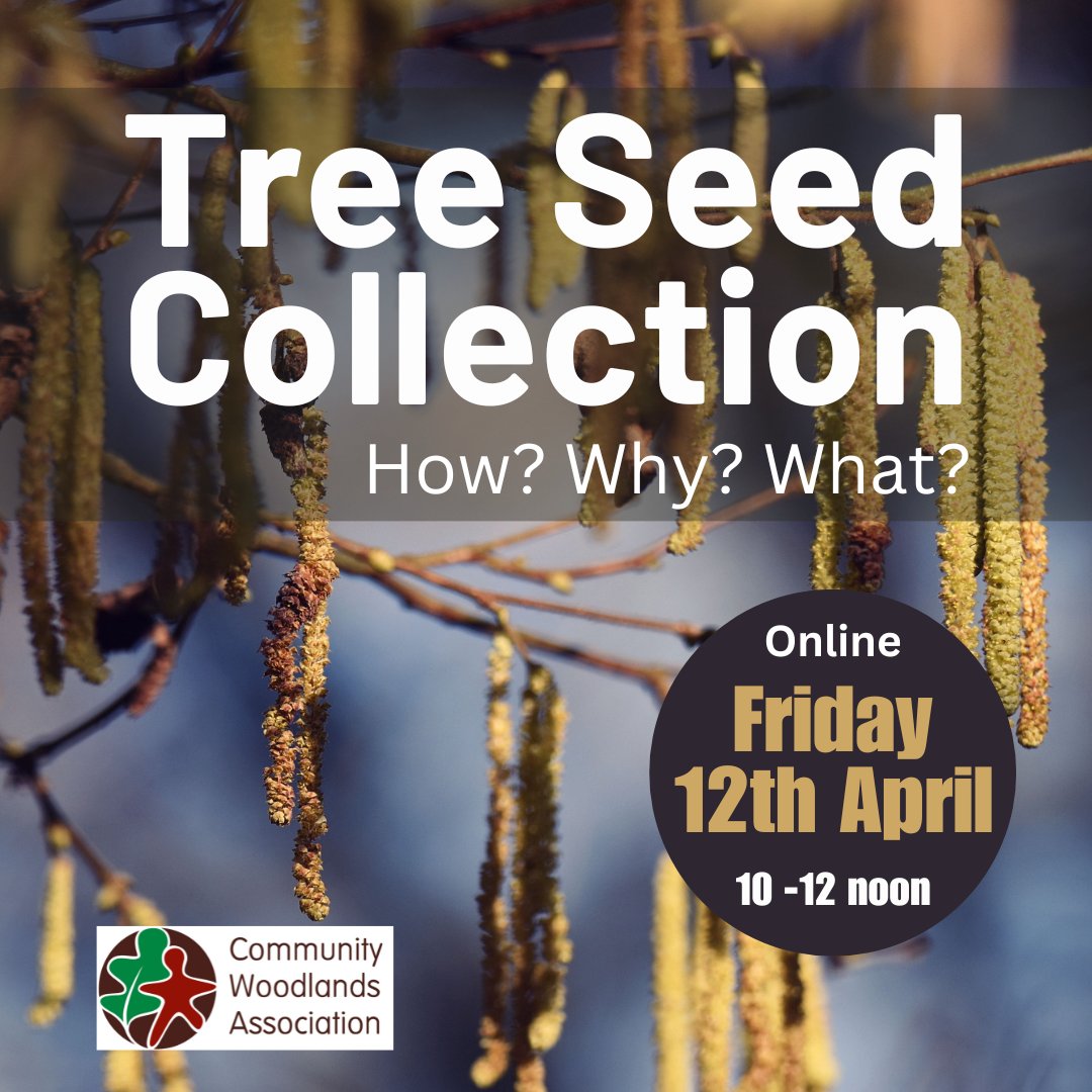 Community Woodlands Association tweet media