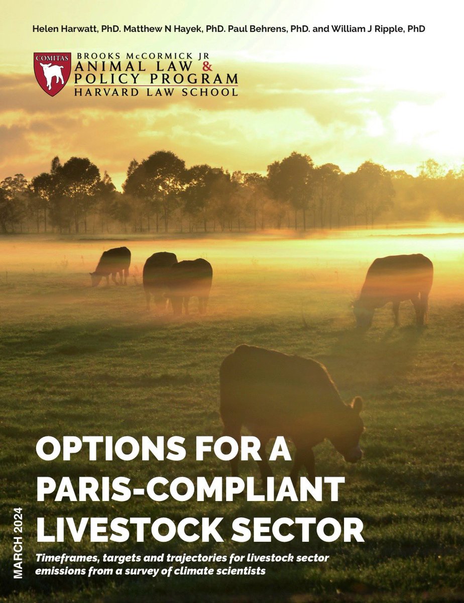 Klimaatwetenschappers: We moeten onze #uitstoot van #vee halveren door #vlees en #zuivel te vervangen door #plantaardig #voedsel 🌱 

Lees het rapport: animal.law.harvard.edu/wp-content/upl…