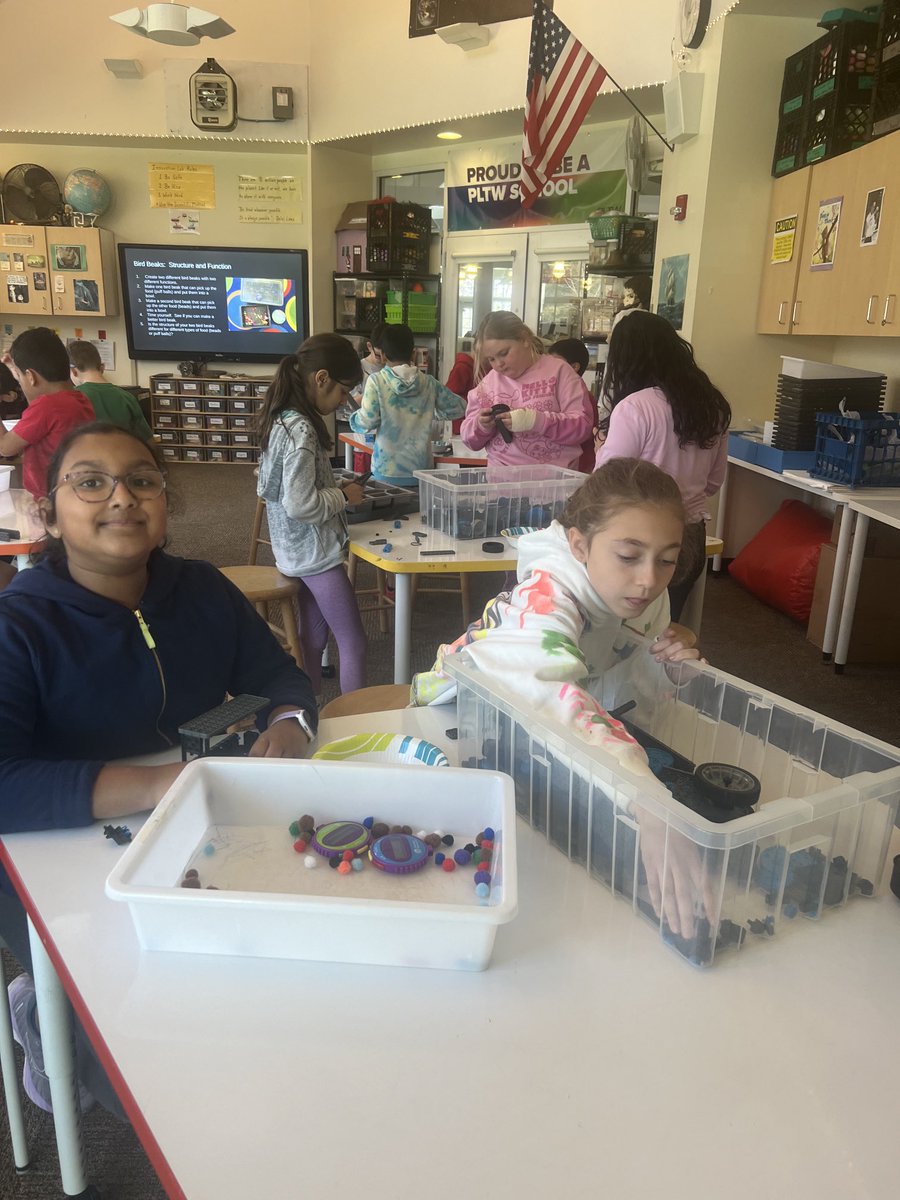 Mrs. Truskiewicz North Side School tweet media