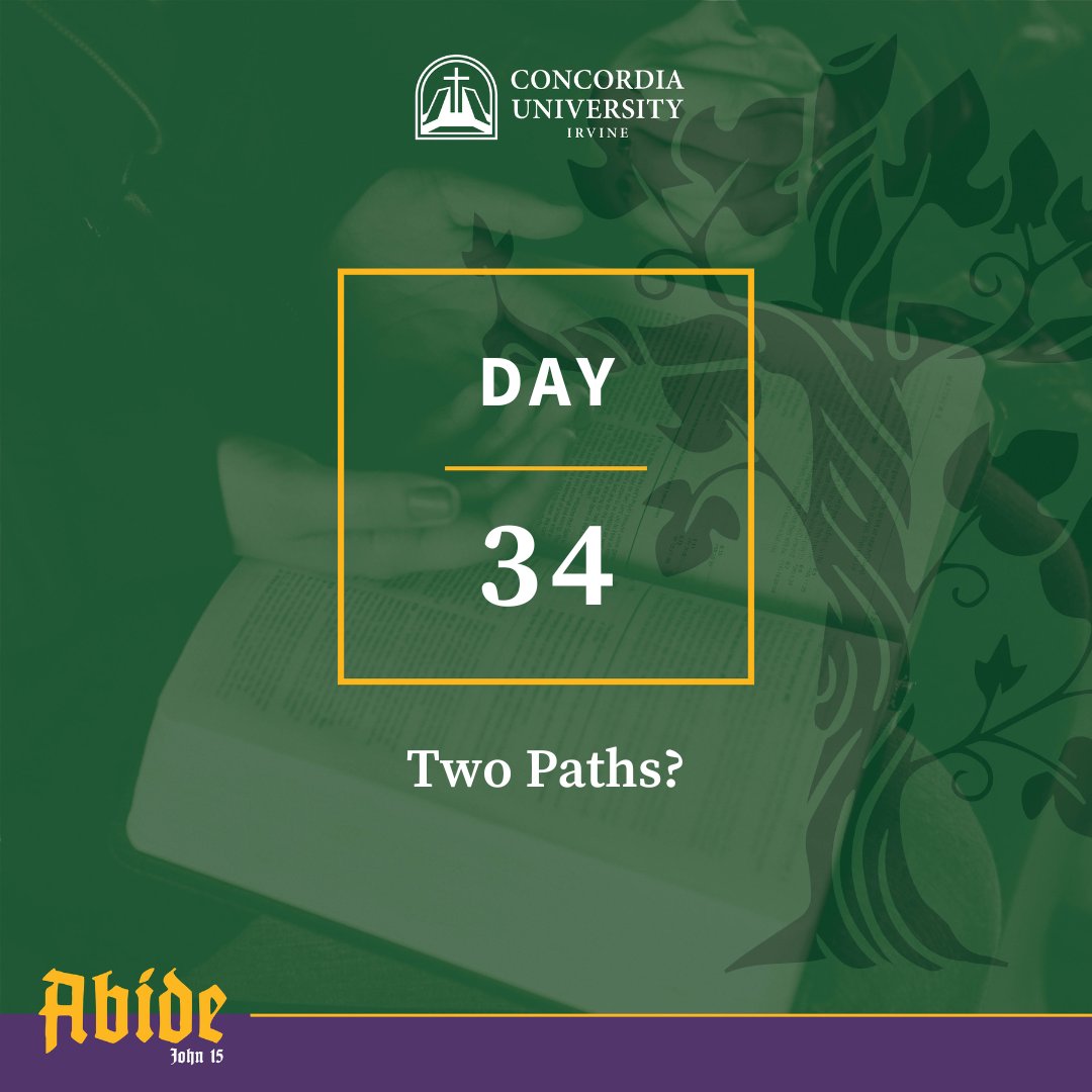 abbeywest_cui's tweet photo. We may work to take stock of our deeds, examine our hearts, and amend our lives. It seems like the right way, but it never ends, leading on and on, steeper and steeper.

To discover more, read today's Lenten Devotion here https://t.co/8pLJNNFNl7 https://t.co/tDMZlqHH4S