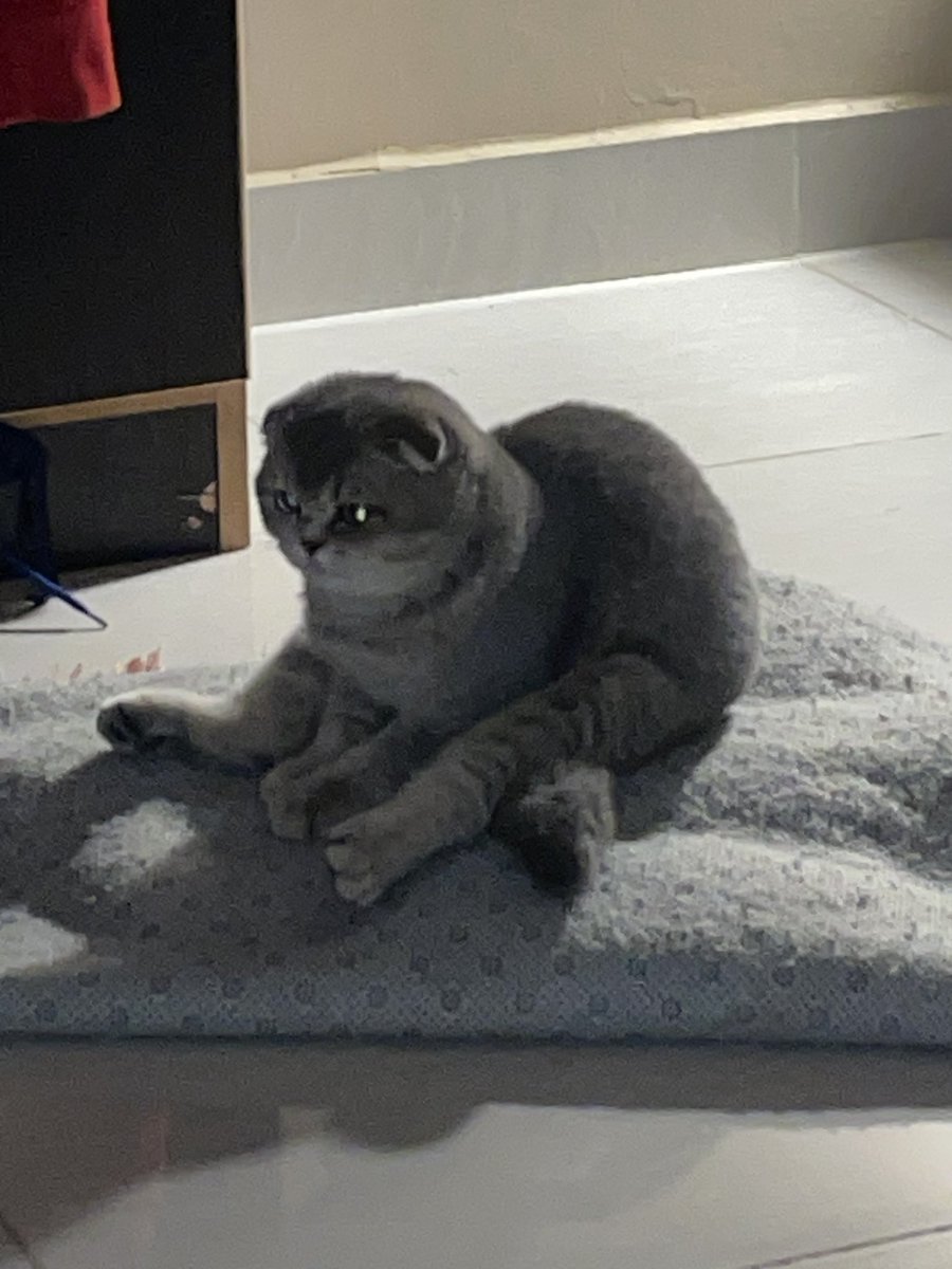 _angeola's tweet photo. just powder and his silly sitting positions https://t.co/yI6ErJ3d0l