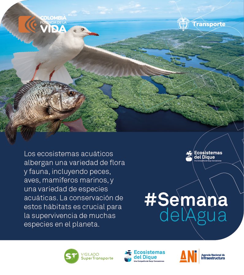 EcodelDique's tweet photo. Cada día es un paso hacia la restauración de los ecosistemas del canal del Dique. Únete a nosotros en la #SemanadelAgua y sé parte del cambio hacia un futuro más sostenible. 💧🌿 #Sostenibilidad #EcosistemasDelDique https://t.co/nRwCZ1hwVb