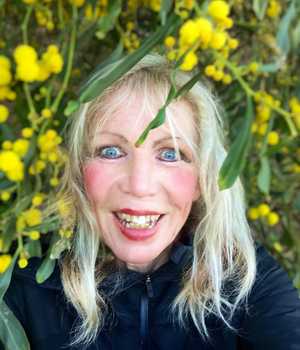 Happy Monday my friends! Lots of fluffy yellow flowers of the golden wattle/Acacia pycnantha by the beach! Great run in the sun and even the stairs felt amazing! Sparkly swim in 59f water! #running #runningpunks #monday #California