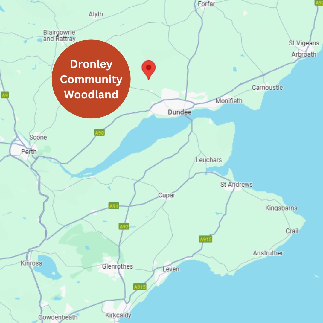 CWA is delighted to invite all members to another exchange visit, this time to Dronley Community Woodland, Dundee. Find out more and sign up for a place on our website: communitywoods.org/events