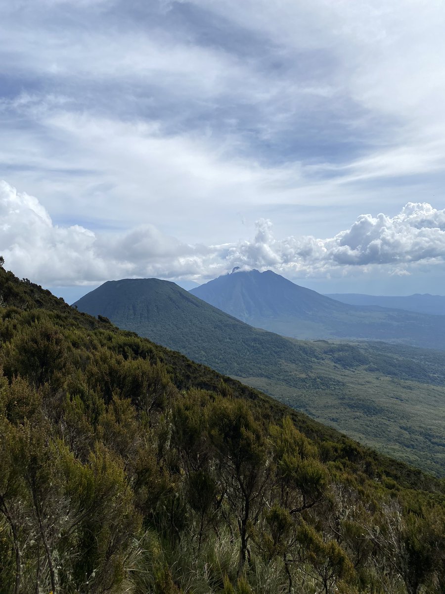 Mount Sabyinyo is the oldest volcano in the Virunga Mountains, a mountain range in the Albertine Rift Mountains. The summit of Sabyinyo, at 3,669 metres marks the intersection of the borders of the DR of  Congo, Rwanda, and Uganda. Book with us at newerasafaris.com