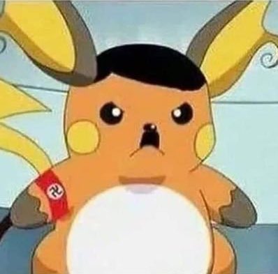 erdaime_'s tweet photo. Raichu                                     Reichu https://t.co/x3KRxo0XvV