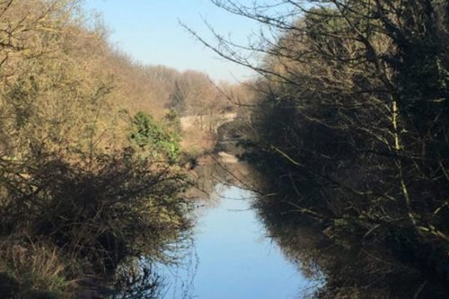 The #RiverCrane is under threat from @Hillingdon plans to dump treated sewage. We've written to @EnvAgency to set out the impact this would have on water quality and local endangered wildlife. Find out more from Cllr @Gareth_Roberts_ 👇 orlo.uk/AFQOC