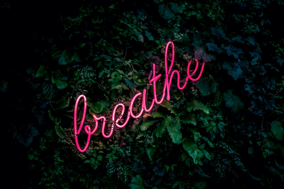 Connected Voice (@connectedvoice_) on Twitter photo Need help to manage daily stresses and promote a more #productive mindset?
Join us this Thursday 21 March, 10-11:30am at <a href="/OneStrawberryLn/">Onestrawberrylane</a>, to discover the power of #Mindfulness .ย
Register your free place here! ๐ connectedvoice.org.uk/events/mindfulโฆ
Project funded by @NorthTyneCA Need help to manage daily stresses and promote a more #productive mindset?
Join us this Thursday 21 March, 10-11:30am at <a href="/OneStrawberryLn/">Onestrawberrylane</a>, to discover the power of #Mindfulness .ย
Register your free place here! ๐ connectedvoice.org.uk/events/mindfulโฆ
Project funded by @NorthTyneCA