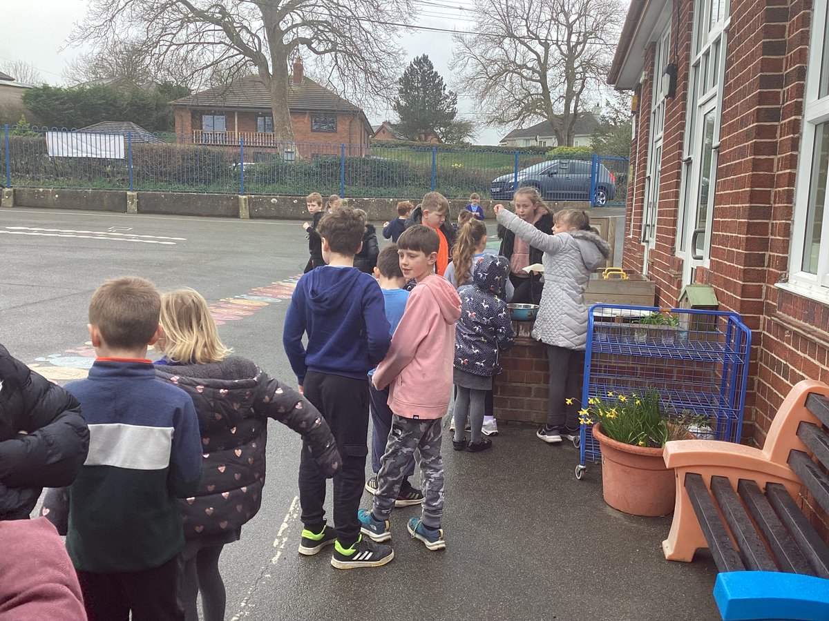 Last week the school council prepared cucumber for our #Eatthemtodefeatthem snack, it was very popular! Miss Esra also served cauliflower as an extra vegetable with our roast dinner on Thursday, not as popular but lots of children gave it a try 😀 @IachHealthy