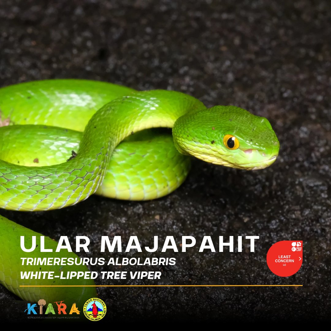 Katta sik bilan sikilganida ogriqdan qichqiradi Tarixiy kaltaklash porno