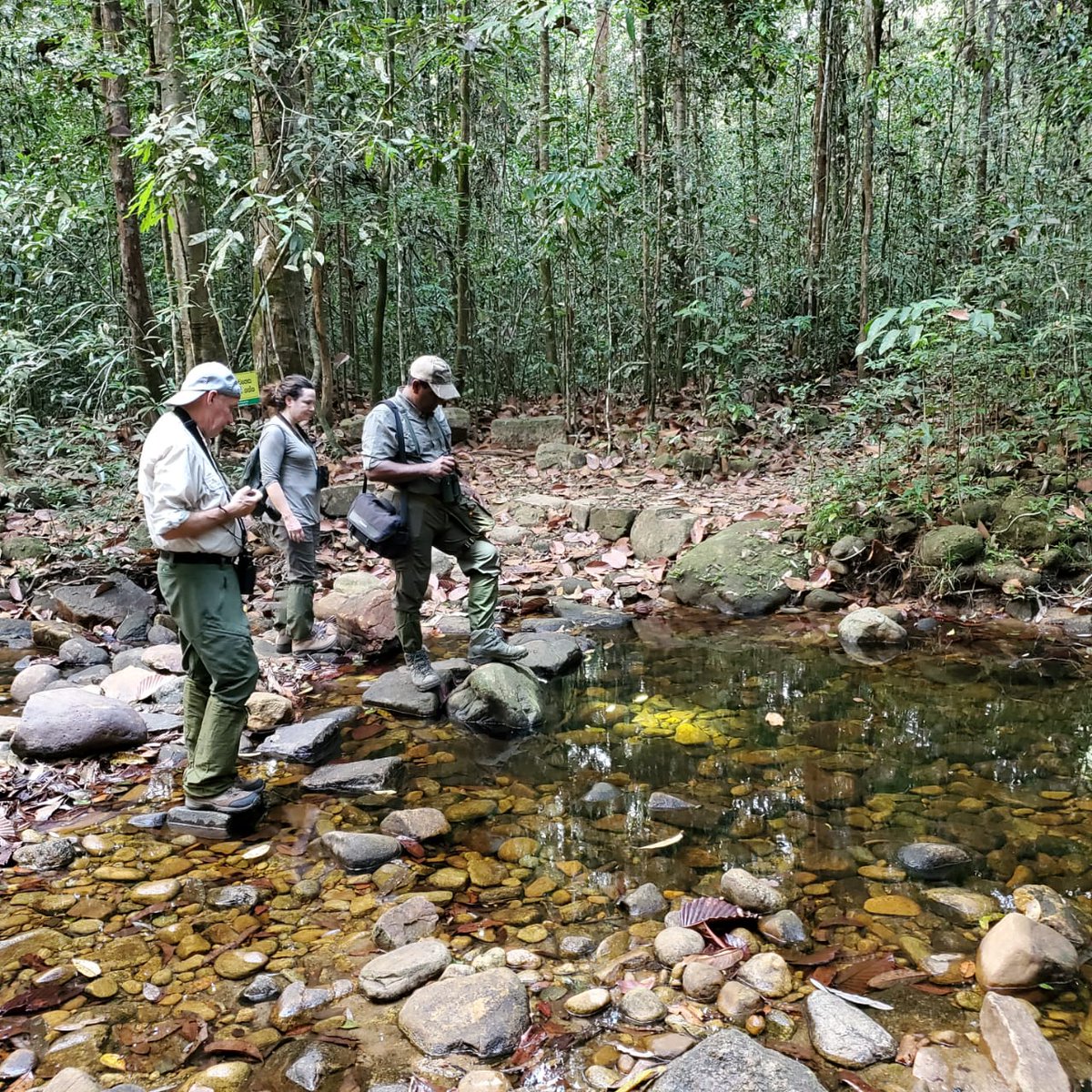 BandW_Team's tweet photo. On a recent mammal watching tour for a group from the UK, guided by Uditha Hettige of Bird and Wildlife Team.

https://t.co/0heGHRMeW6 Sri Lanka 

#mammals #mammalphotography #wildcats #wildlife #wildlifephotography #nature #naturephotography #srilankatour #birdandwildlifeteam https://t.co/S1EX6G7YLX