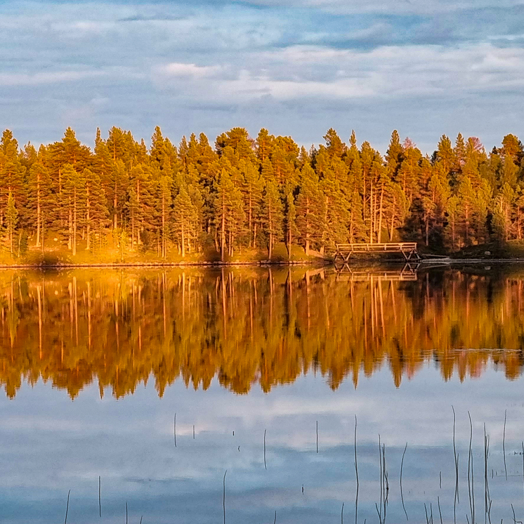 LaplandWild's tweet photo. Kaikki nämä kuvat on otettu Lapland Wilderness Challenge 2024:n kilpailukeskuksesta.

#laplandwild #LWC2024 #laplandwildernesschallenge
#lapland #wilderness #suunnistus #seikkailu #vaellus #retki #retkeily #seikkailuurheilu #rogaining #inari #sevettijärvi https://t.co/oSzMxXfgPh