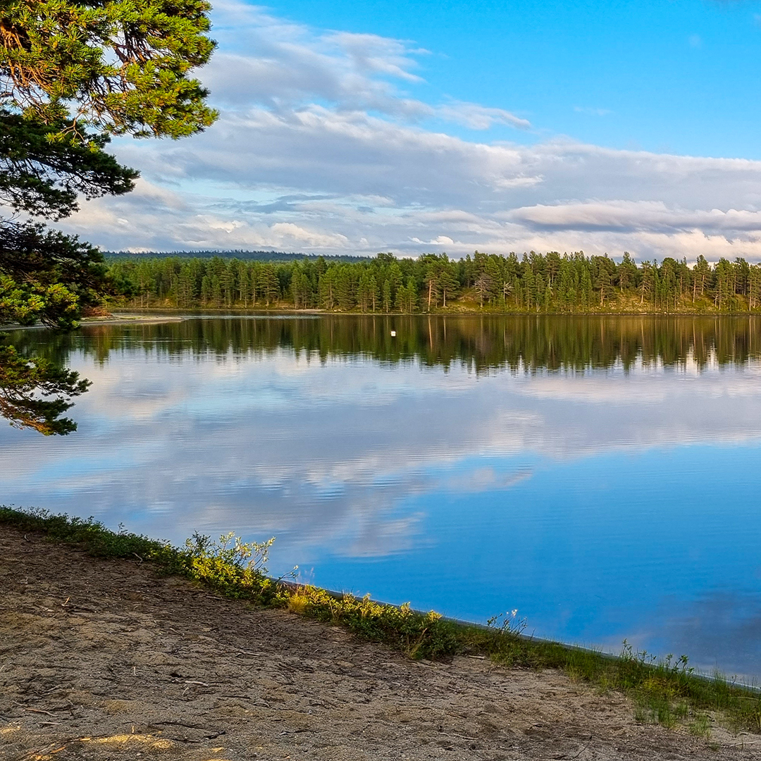 LaplandWild's tweet photo. Kaikki nämä kuvat on otettu Lapland Wilderness Challenge 2024:n kilpailukeskuksesta.

#laplandwild #LWC2024 #laplandwildernesschallenge
#lapland #wilderness #suunnistus #seikkailu #vaellus #retki #retkeily #seikkailuurheilu #rogaining #inari #sevettijärvi https://t.co/oSzMxXfgPh