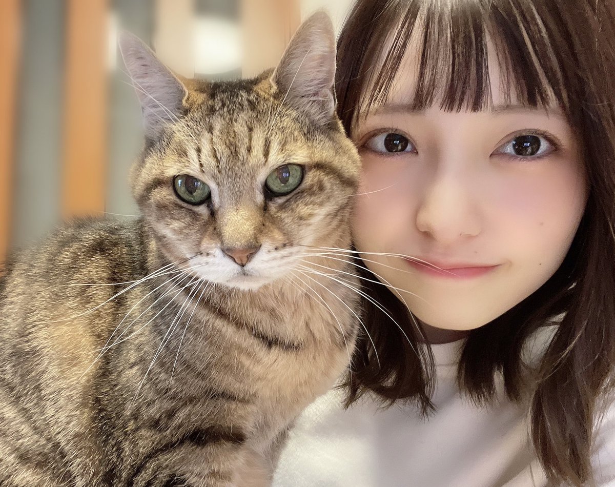 Moe_mochan's tweet photo. 大大大好きなりんちゃん🐯❤︎ https://t.co/yWqcx8ZmHM