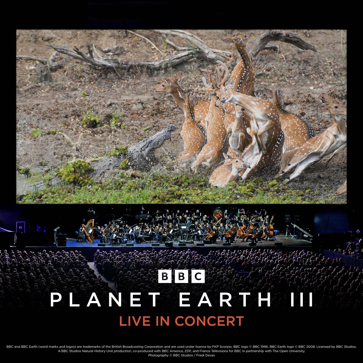PlanetEarth3UK's tweet photo. 🦌 Oh deer, watch out! 🐊

This October, be thrilled by the extraordinary stories of animal dramas and learn the marvellous ways in which animals survive in the wild at the much-anticipated Planet Earth III Live in Concert.

📷 © BBC Studios, Elliot Jones https://t.co/rdUhg6wKre