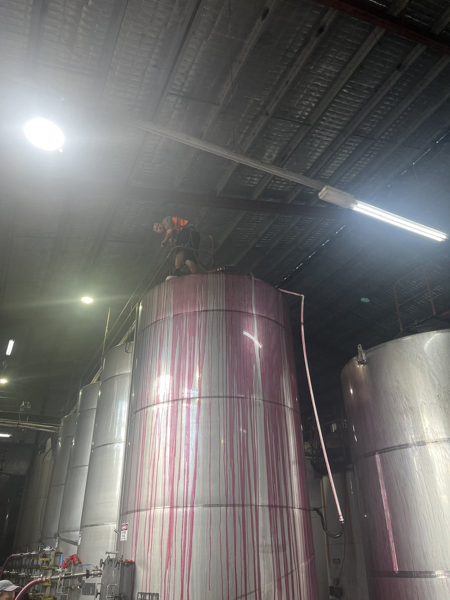 8675309 Matty. (@ahnewman) on Twitter photo 