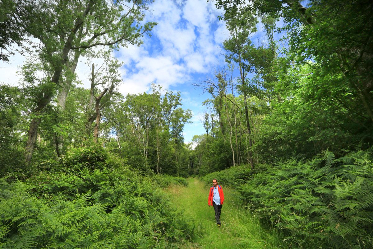 These woods near Oxford are a beautiful secret. There are no rights of way. But you CAN walk there, so long as you take the trouble to apply for a free permit. Find out more here: countrywalking.co.uk/read/spring-is…