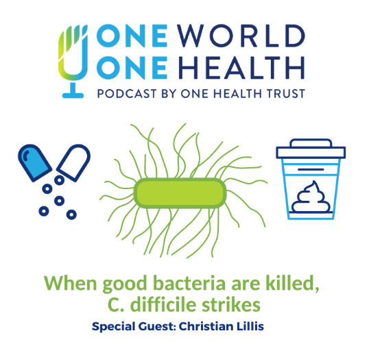 One Health - U of Guelph (@onehealthuofg) on Twitter photo In this One World One Health podcast by the One Health Trust, <a href="/maggiemfox/">Maggie Fox maggie.34</a> talks to Christian Lillis about Clostridioides difficile; common bacteria that can grow out of control when antibiotics deplete the healthy microbes living in the intestines: tinyurl.com/ftfknz42 In this One World One Health podcast by the One Health Trust, <a href="/maggiemfox/">Maggie Fox maggie.34</a> talks to Christian Lillis about Clostridioides difficile; common bacteria that can grow out of control when antibiotics deplete the healthy microbes living in the intestines: tinyurl.com/ftfknz42