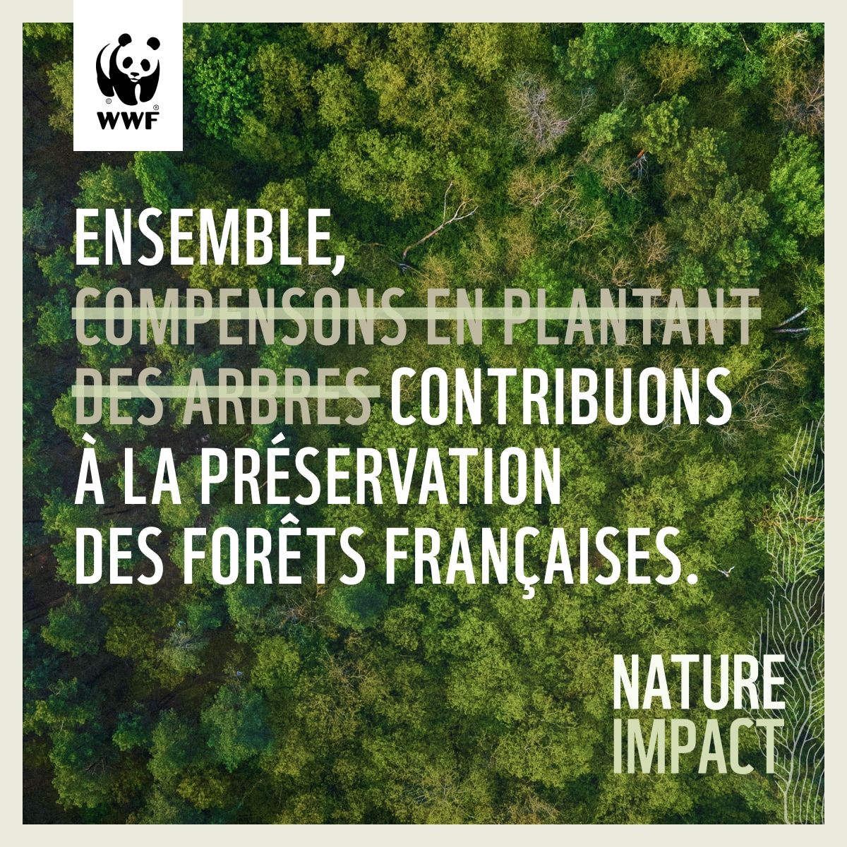 🌳Pour protéger 15 000 ha de forêts sur le territoire 🇫🇷, nous poursuivons notre engagement au sein de l’initiative #Natureimpact de @WWFFrance : rejoignez-nous et contribuez à protéger ces réservoirs de carbone et de biodiversité ! #ForAllForGood #JIF2024 #JIF