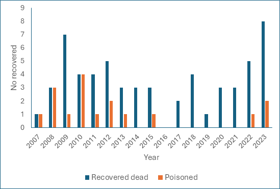 📷 Grim reading but this brings to 60 the no of WTEs found dead here since reintros began in 2007. Shooting is particularly heinous but rel rare (7%) while poisoning is the no 1 killer (25%) Rare white-tailed eagle found dead in Co Roscommon rte.ie/news/connacht/…