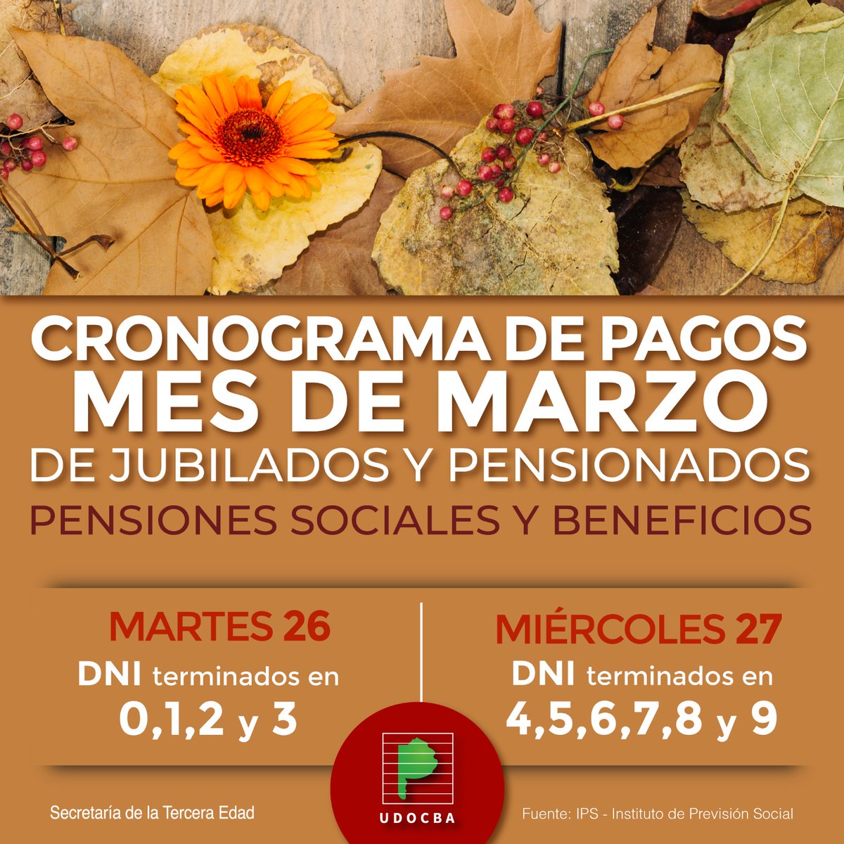 udocbacentral's tweet photo. 📣#UDOCBAInforma https://t.co/qo3Kqouack