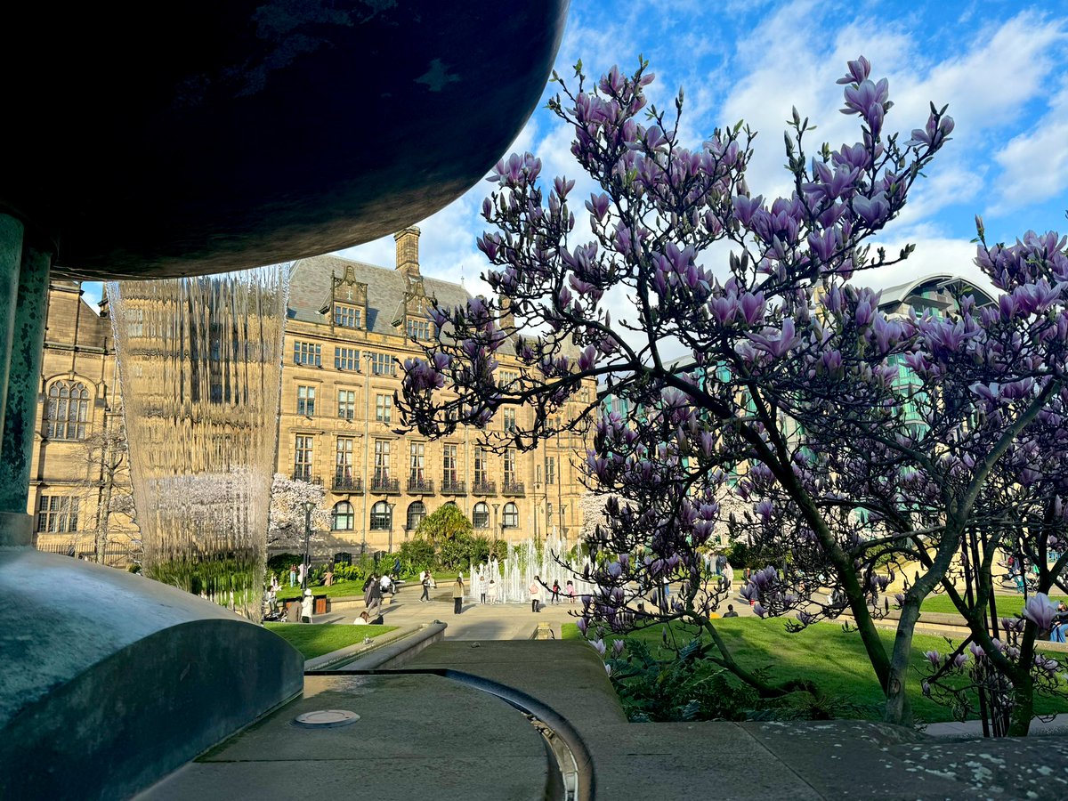 VisitSheffield's tweet image. More please! So nice to have some proper blue skies above #Sheffield yesterday afternoon, especially with the arrival of blossom season-  scenes from the Peace Gardens @sheffcitycentre here.🌞🏙️🌸 #EnglishTourismWeek24
