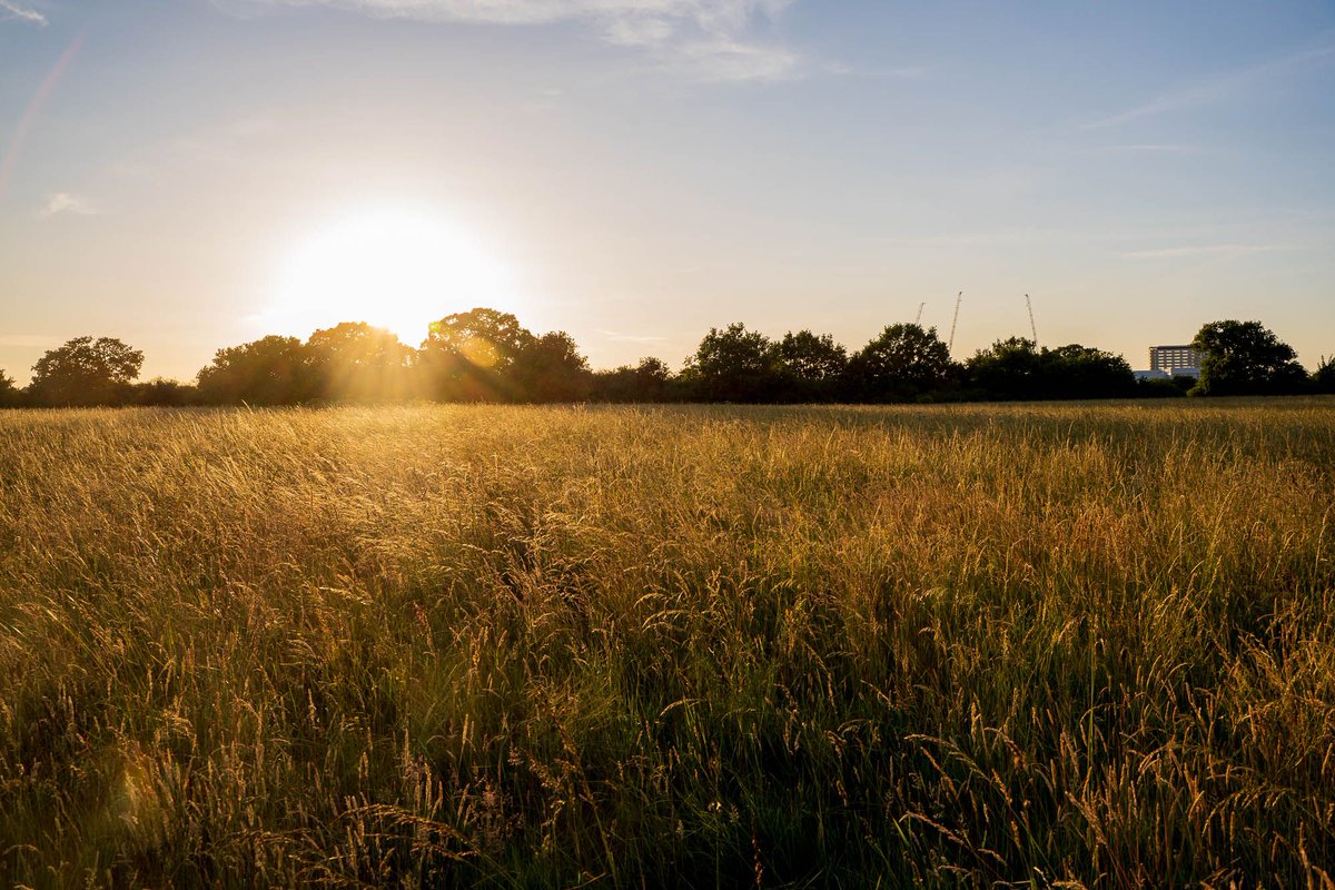 NEWS: Tolworth Court Farm to become one of London’s leading rewilding nature reserves 💚🎉 Thanks to funding from @HeritageFundUK, @MayorofLondon #RewildLondonFund, @OfficialZSL, we can now make the site an even more valuable nature reserve. Read more 👉bit.ly/3PrTvWp