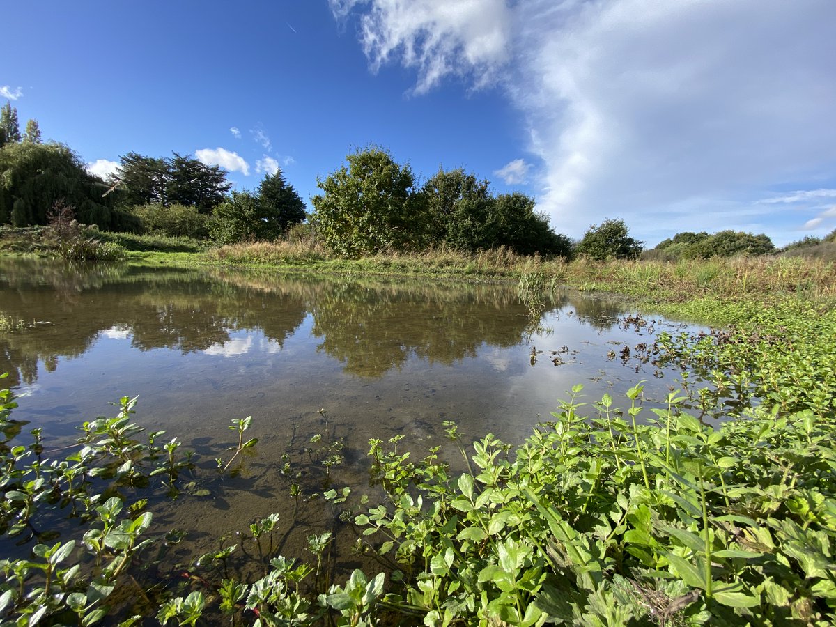 🥳Yay! Our Rewilding the Rom project has been shortlisted for the ‘Reach Scale’ category of the @The_RRC's UK River Prize award. We have been able to work with our volunteers and partners to make the Rewilding the Rom project a great success. ⬇️🧵