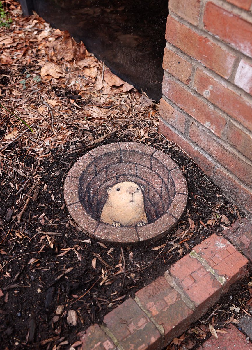 Harold has extra space available in his well of worries. #StreetArtEverywhere #SidewalkChalk #anamorphosis #HoleIllusion #gopher